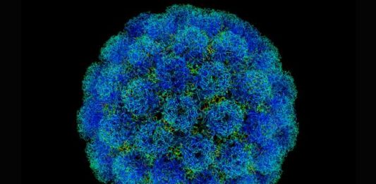 Investigadores mexicanos desarrollan cura para el Virus del Papiloma Humano