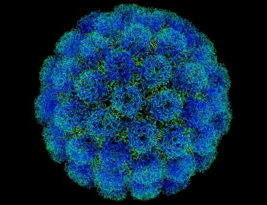 Investigadores mexicanos desarrollan cura para el Virus del Papiloma Humano