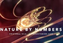 La Naturaleza Explicada en Numeros – SECUENCIA FIBONACCI