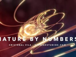 La Naturaleza Explicada en Numeros – SECUENCIA FIBONACCI