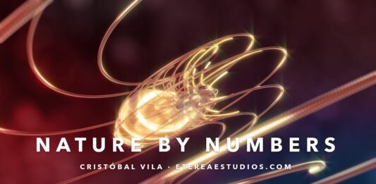 La Naturaleza Explicada en Numeros – SECUENCIA FIBONACCI