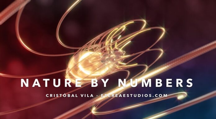 La Naturaleza Explicada en Numeros – SECUENCIA FIBONACCI