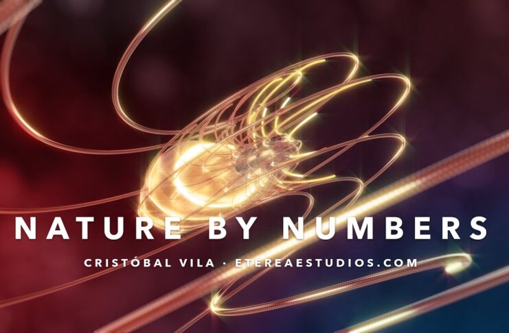 La Naturaleza Explicada en Numeros – SECUENCIA FIBONACCI